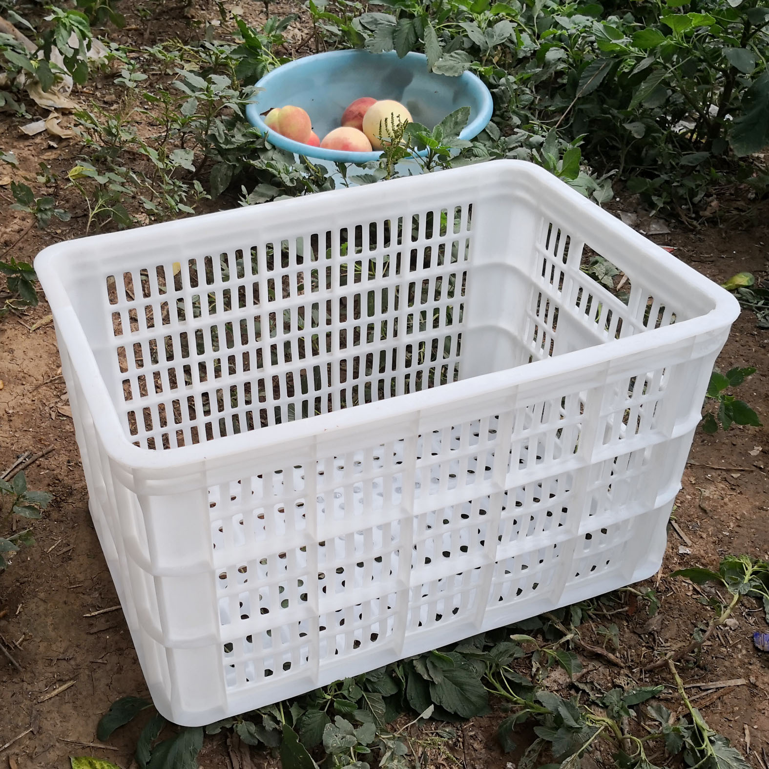 全新料水果筐蔬菜筐卖水果用塑料筐装苹果筐桃子筐梨筐水果转运筐