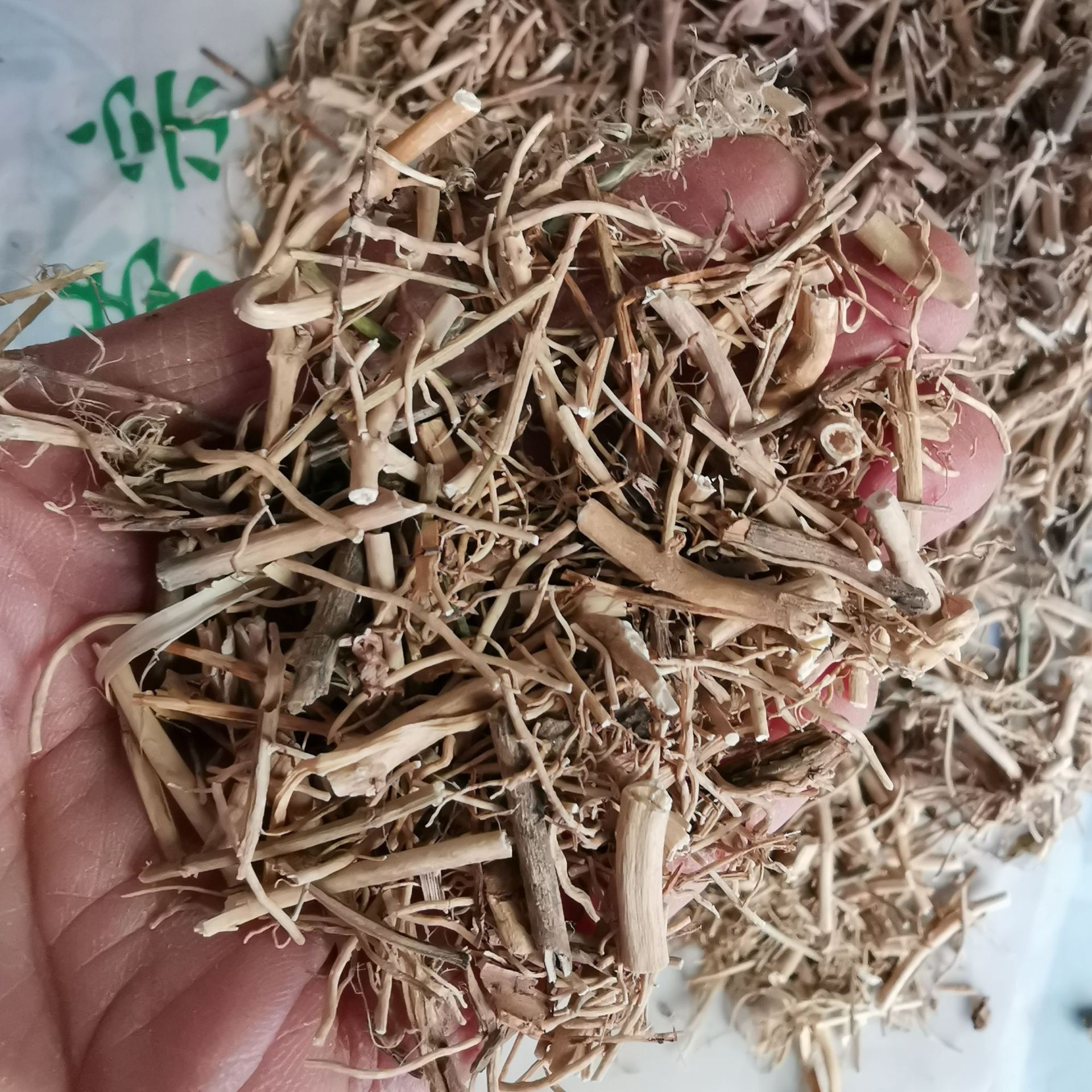 批发中药材白前精选优质鹅白前 草白前 白马虎品种齐全承接订单