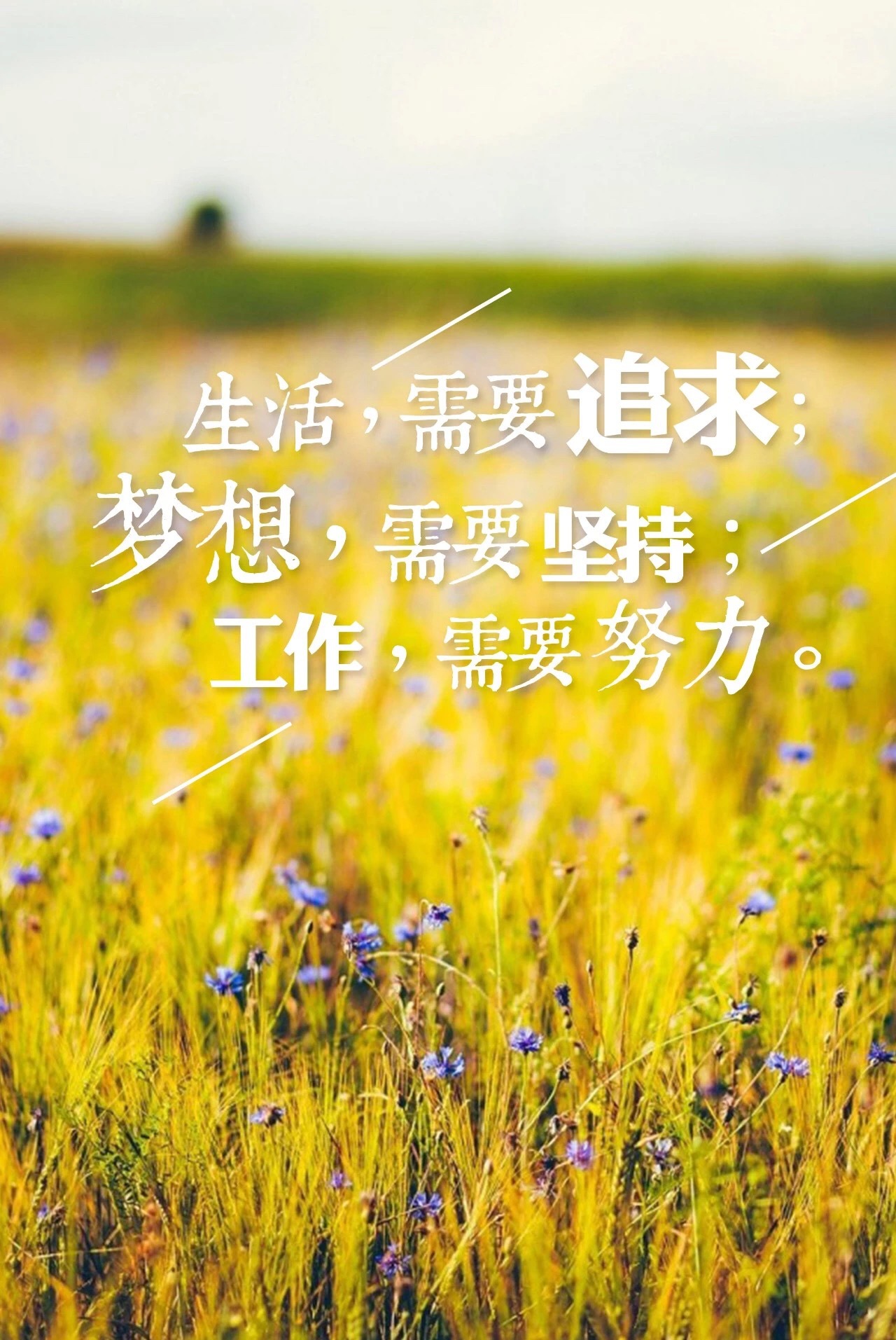 无论前途困苦 不忘初心 方得始终