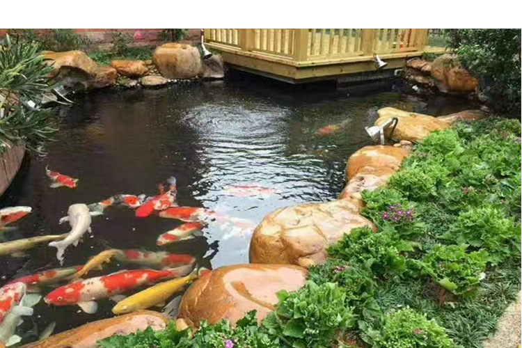 假山庭院鱼池 室外锦鲤池流水景观工程设计施工上门测量人工假山