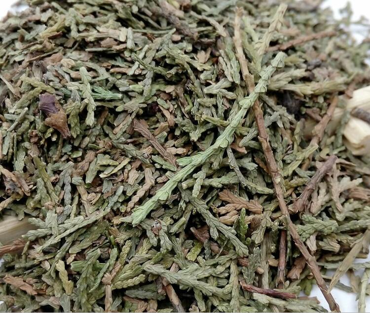 中药材侧柏叶 新鲜干货侧柏叶批发 一公斤包邮