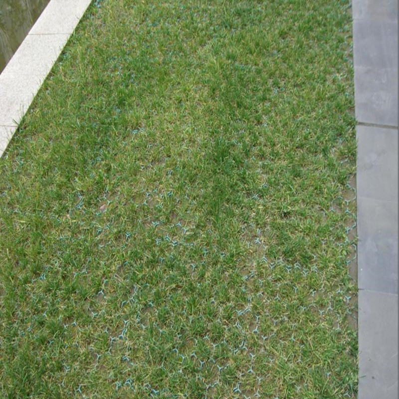 房屋门前建筑绿化植草格 草坪砖现代化厂房 人行道种植绿化植草格