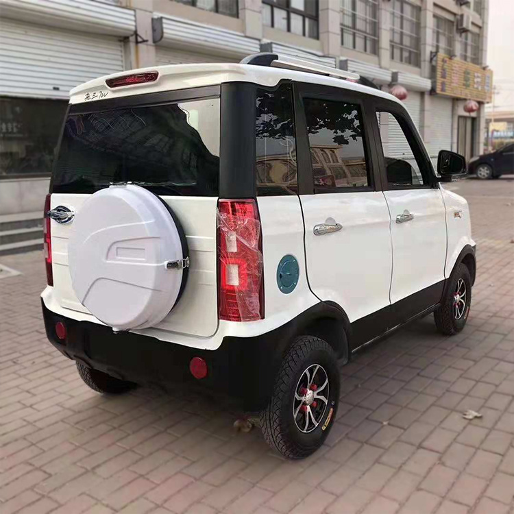 五座老年代步车四轮电瓶车家用油电混合成人电动车