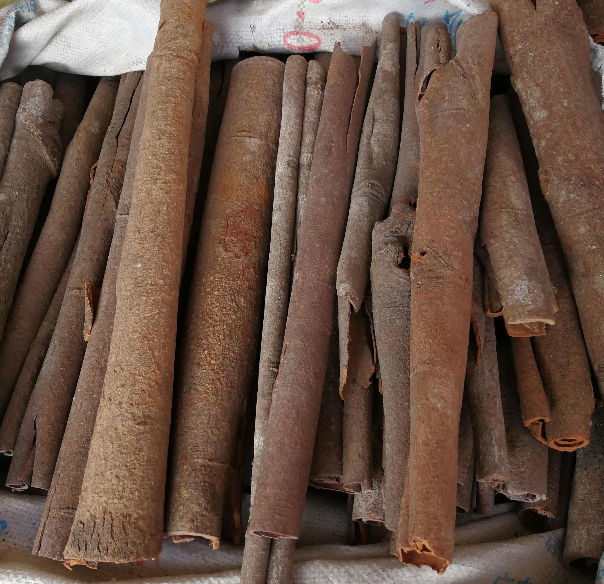 产地桂皮 广西肉桂 肉桂批发桂皮批发肉桂原材料 桂皮 桂