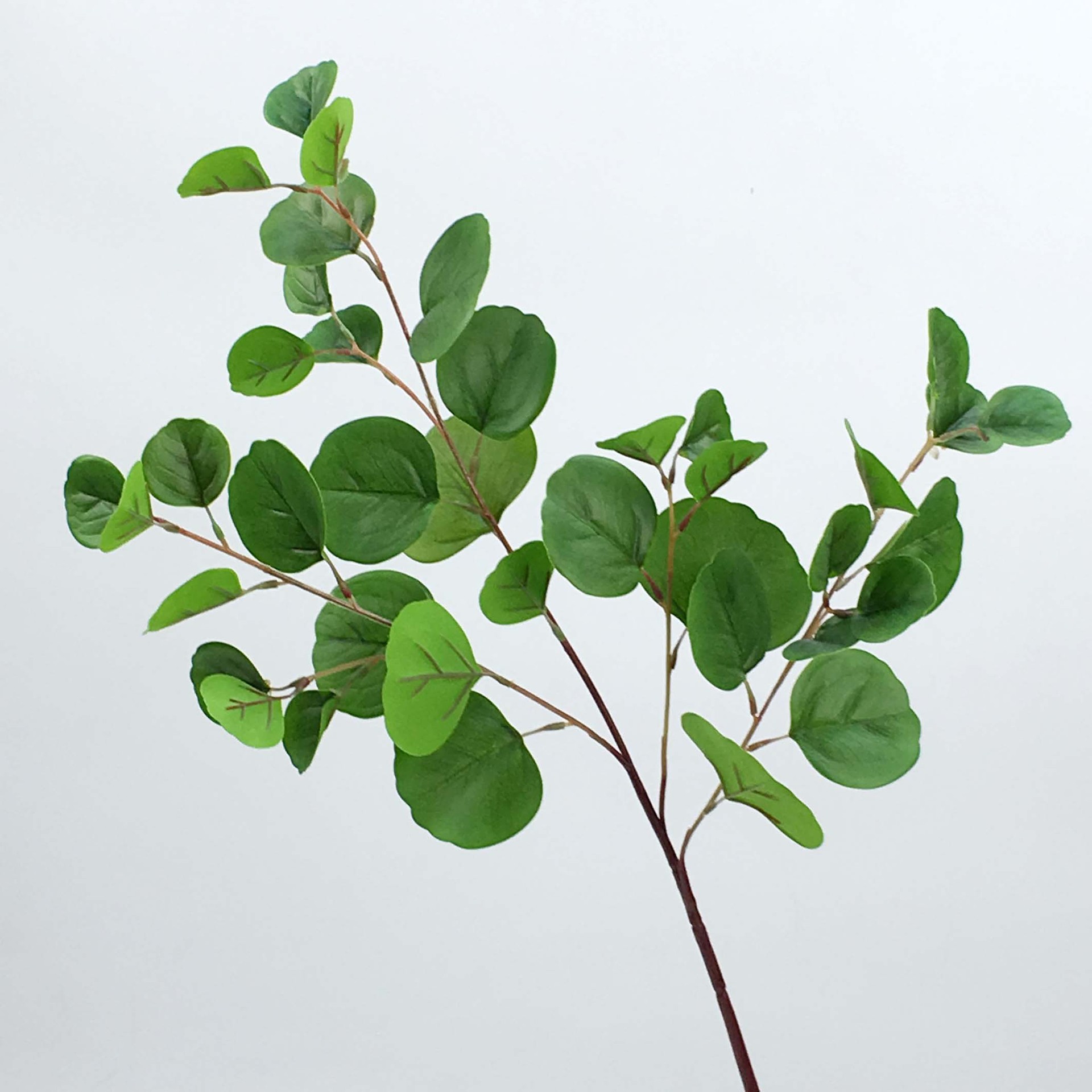 仿真手感金钱叶 尤加利 仿真植物 仿真花假花 婚庆婚礼 家居装饰