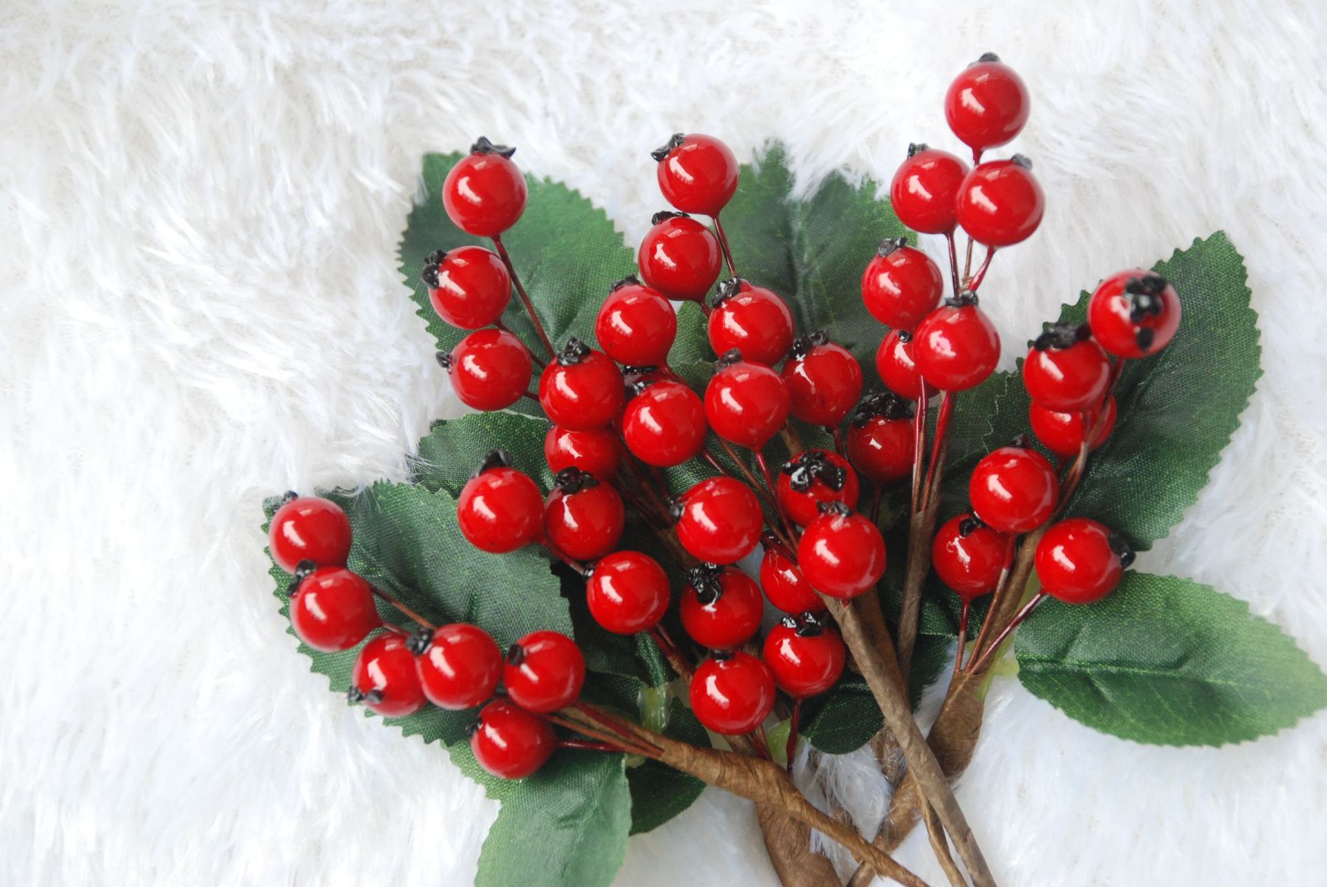 带叶红色6颖果短枝 (2)