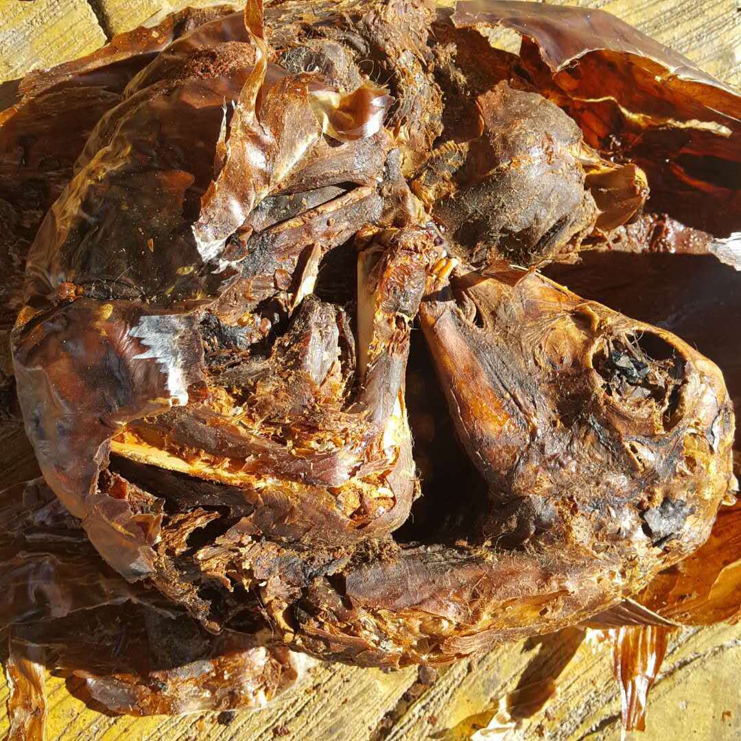 大兴安岭梅花鹿干胎 现磨鹿胎粉 50g一瓶