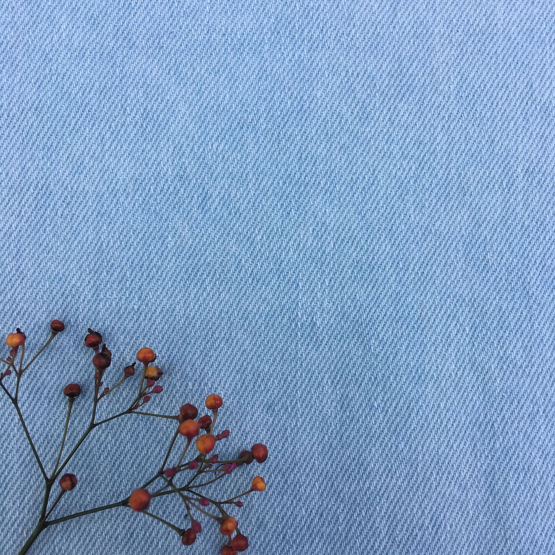 现货10支纯棉水洗牛仔布料10*10洗水牛仔面料男女装童装服装面料