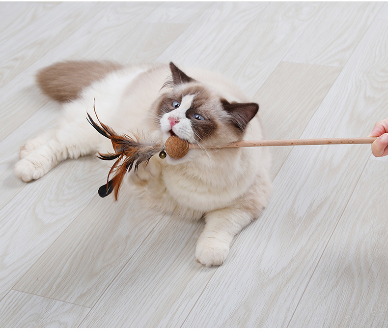 逗猫棒原色环保羽毛猫咪磨牙玩耍棒 猫薄荷软木球铃铛猫咪玩具
