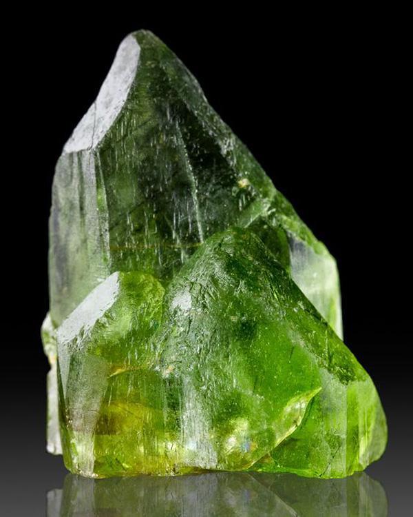 邵丰劲的个人主页-阿里巴巴1688.com