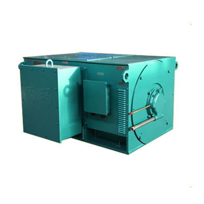 泰富西玛电机y4503-2 900kw/ip55/f级绝缘/6kv高压电机