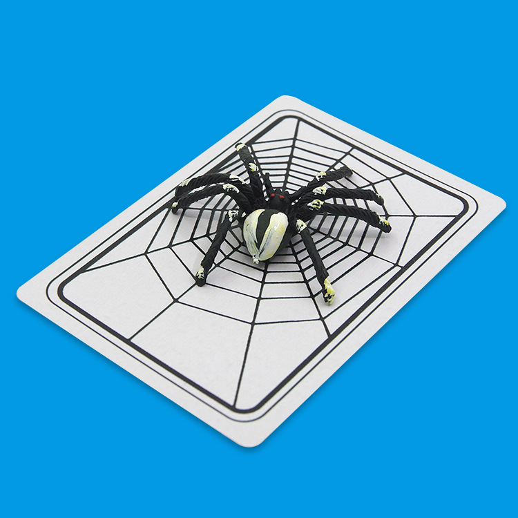 蜘蛛与网蜘蛛牌扑克牌组街头整人恶搞魔术道具魔术玩具厂家批发