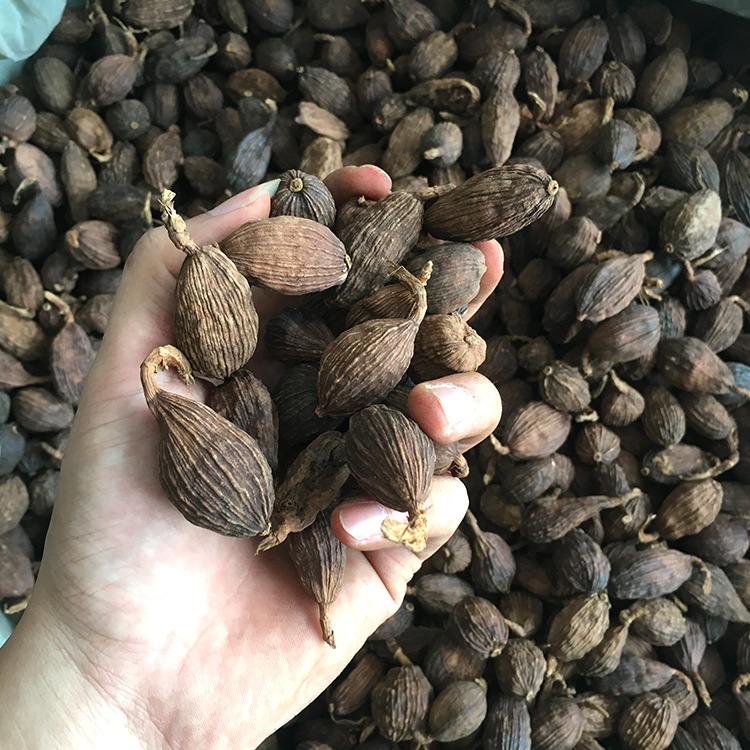 云南草果500g 产地直销川菜调味料香叶大料草果散装火锅底料批