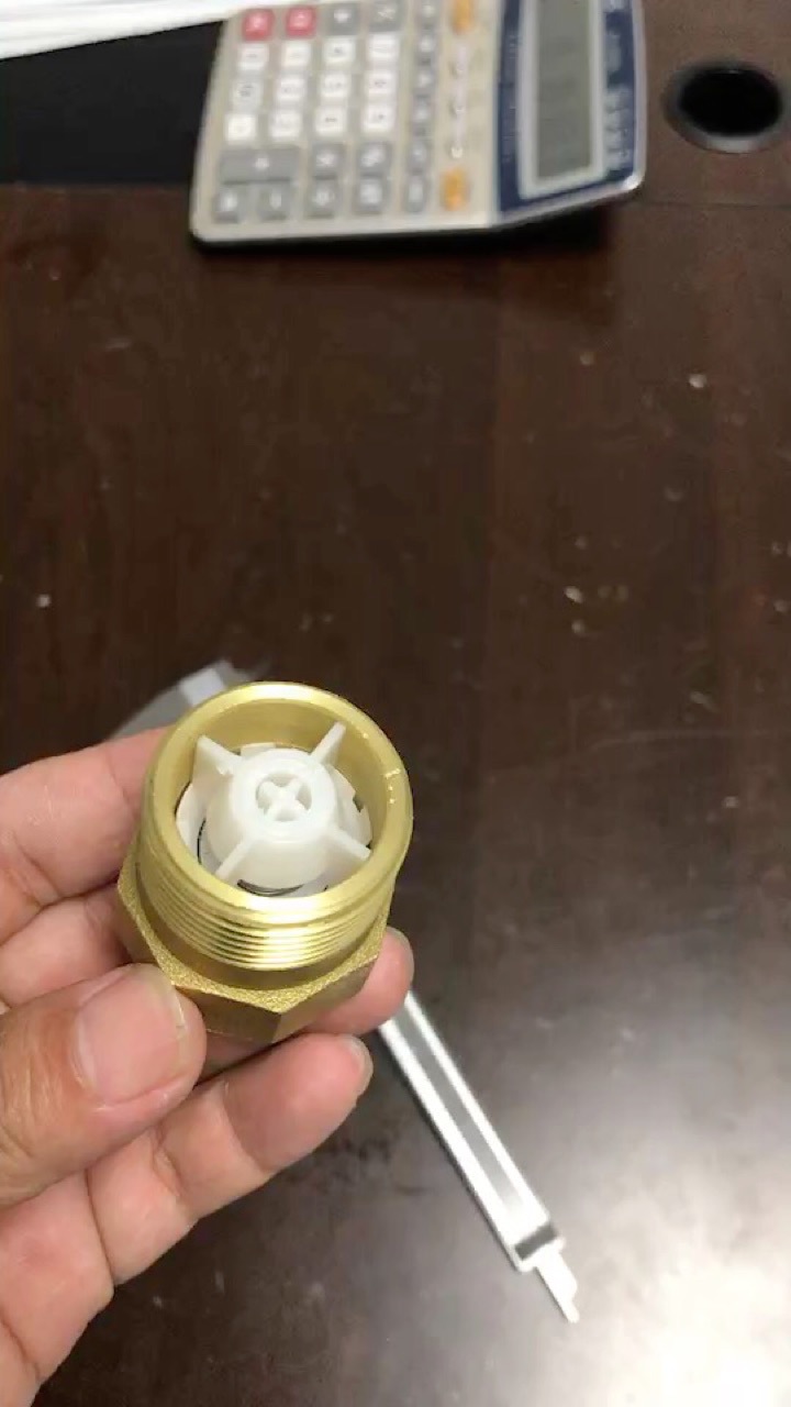 全铜单向阀自来水表前止回阀防回流防空转4分 6分家用止逆阀