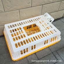 供应惠州广州 塑料运输笼 肉鸡周转笼 家用大号鸡筐