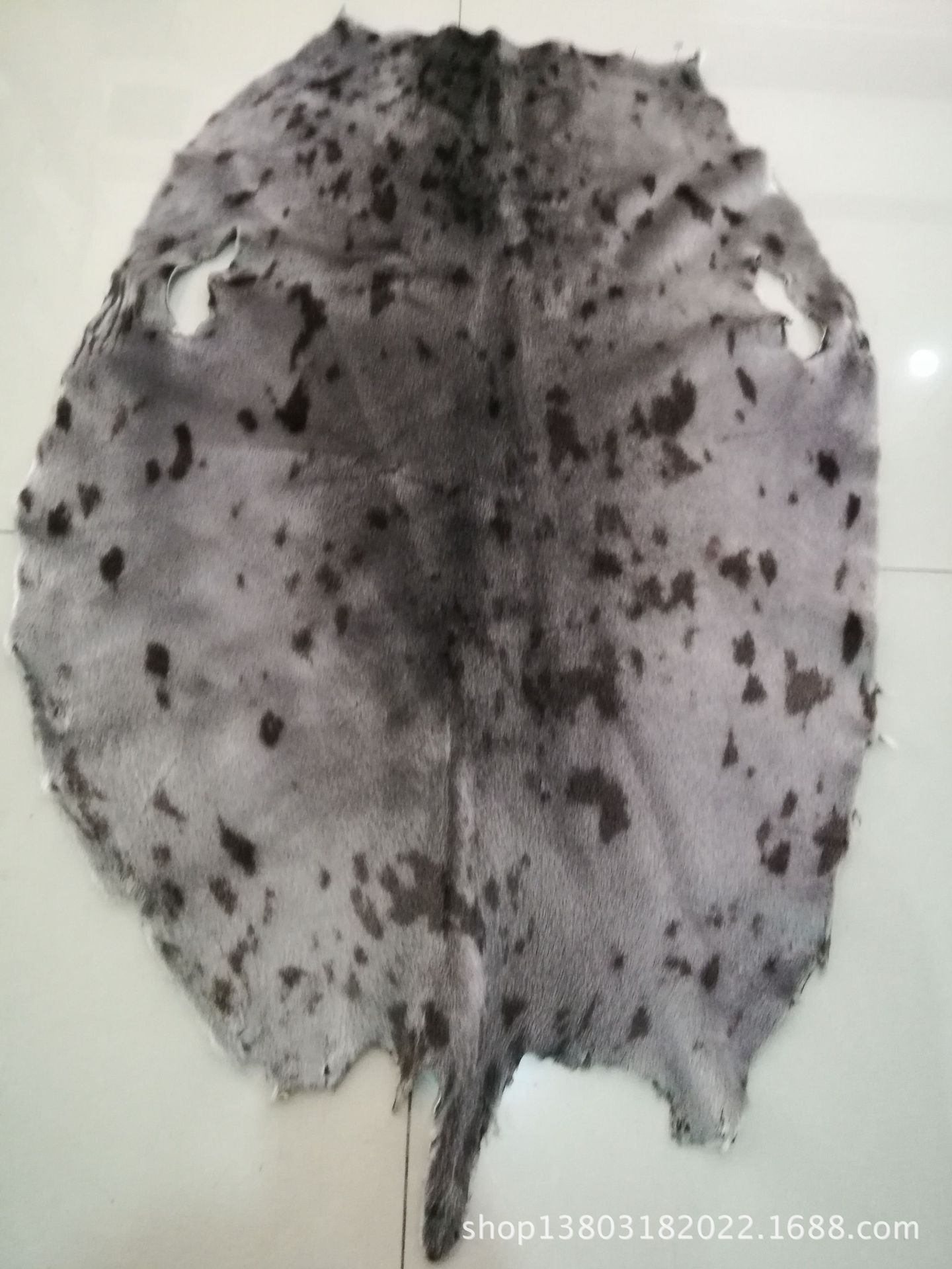 加拿大环斑海豹皮毛一体 进口海豹皮草 真海豹皮毛一体