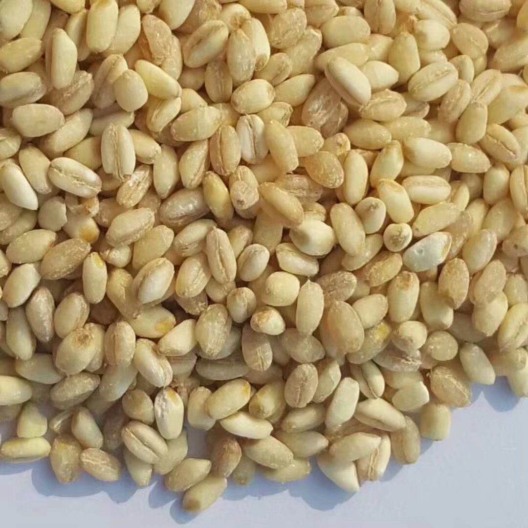 八宝粥,八宝米,小麦仁粥,早餐粥酿酒,麦通豫北小麦仁爆花麦仁