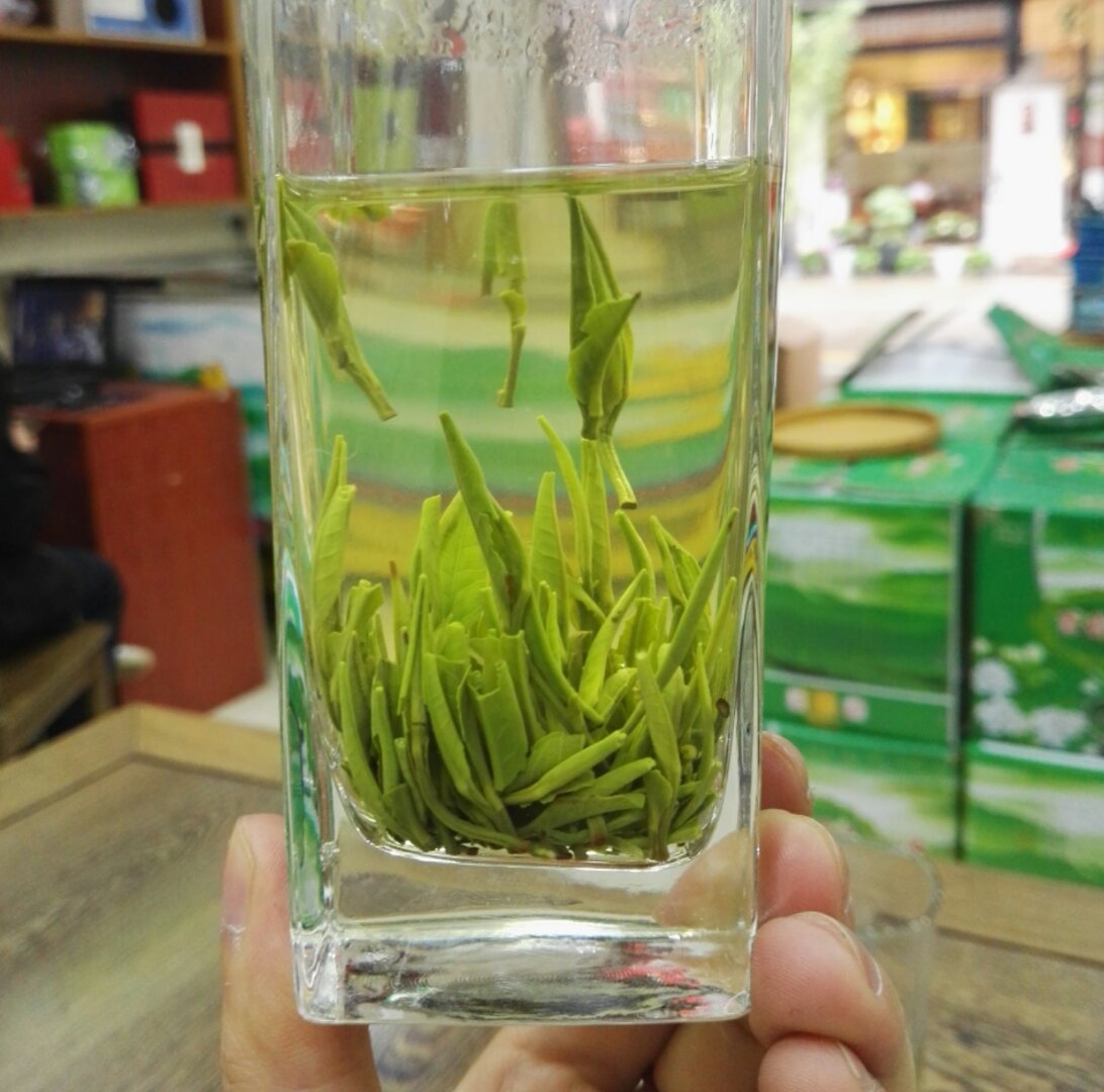 2021新茶 雀舌茶 绿茶 青针头子 一芽一叶雀舌 竹叶菁 圆条雀舌