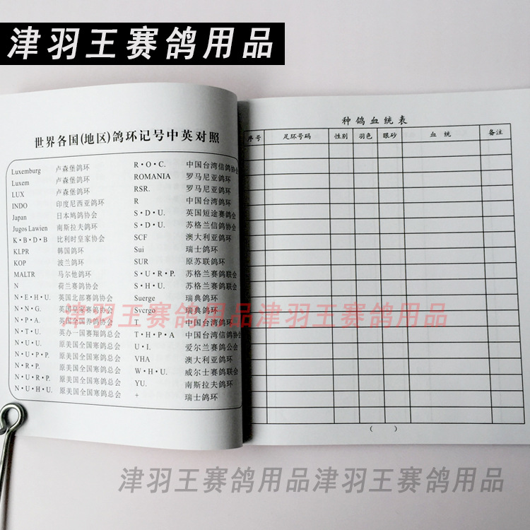 津羽王鸽具鸽子用品信鸽直系血统谱幼鸽记录本鸽书赛鸽血统册