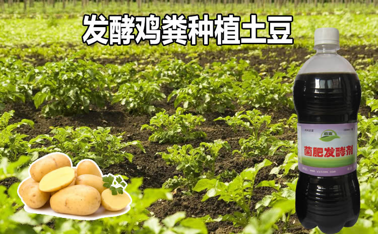 鸡粪有机肥发酵剂