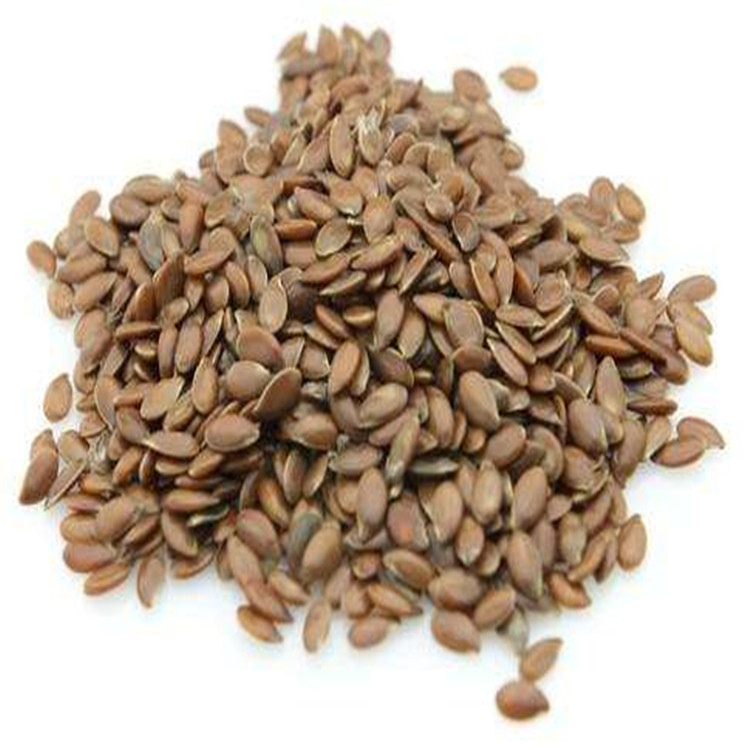 新采山丁子种子 林荆子 山定子 嫁接苹果钻木 山荆子种子 易种植