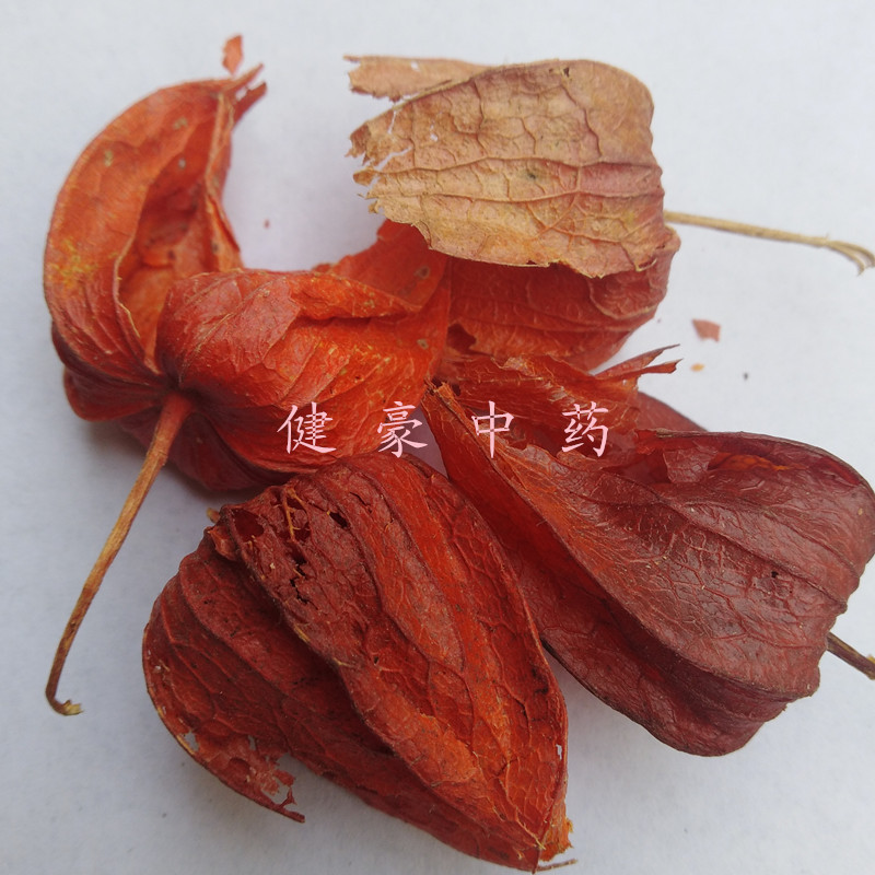 批发供应中药材锦灯笼红灯笼实物拍照不美化欢迎进店咨询采购