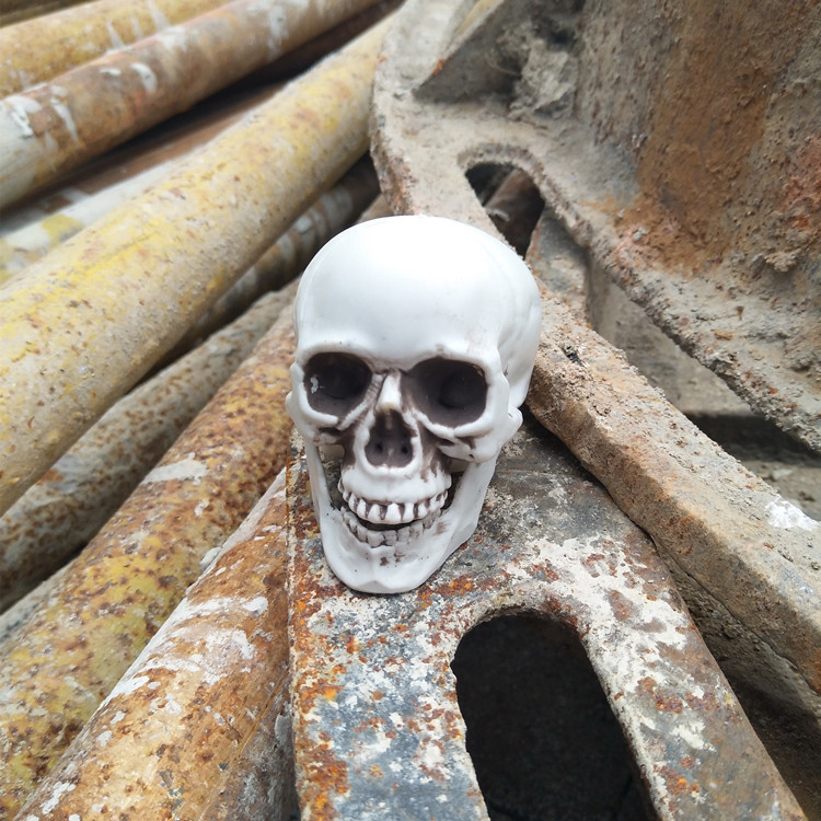 密室道具骷髅