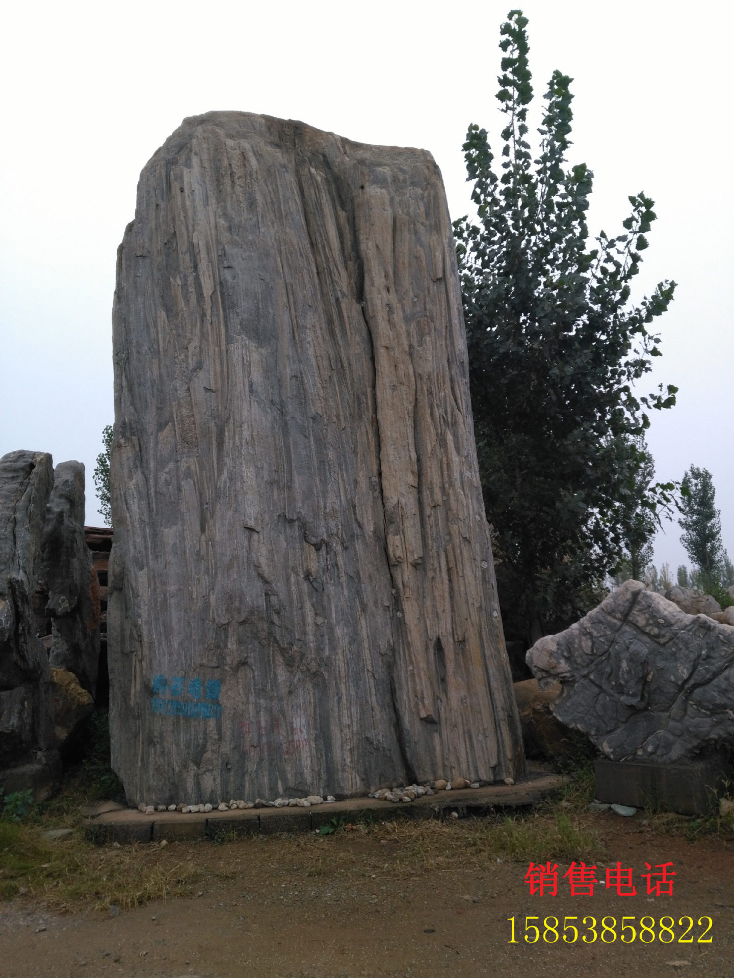 纯天然中华奇石蒙山奇石大型景观石景石种类齐全量大从优