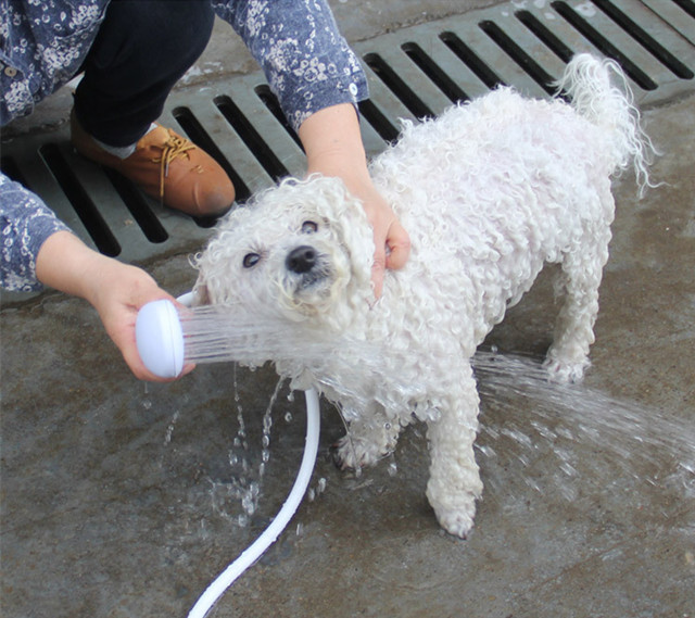 宠物花洒淋浴器简易淋浴喷头宠物多功能洗澡清洁美用品