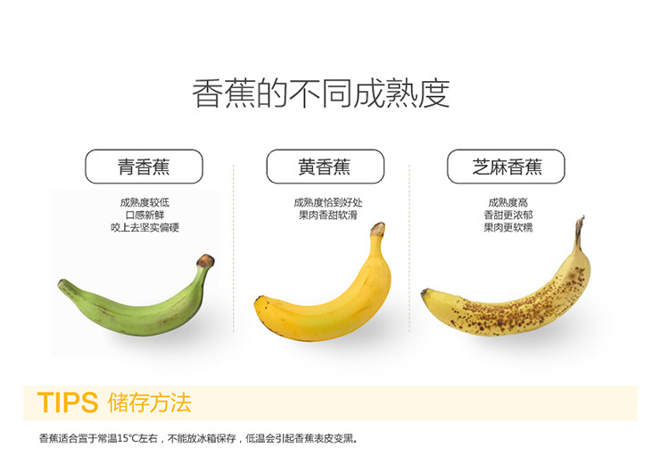 云南红河香蕉 净重5斤青香蕉装包邮青香蕉 需催熟整箱约6斤