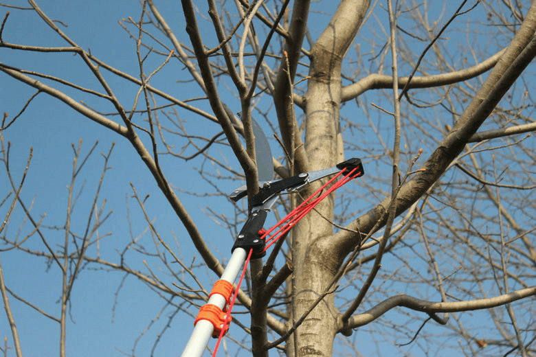 进口四滑轮修枝粗枝剪伸缩高空剪刀摘果剪树枝剪锯园林工具高枝剪