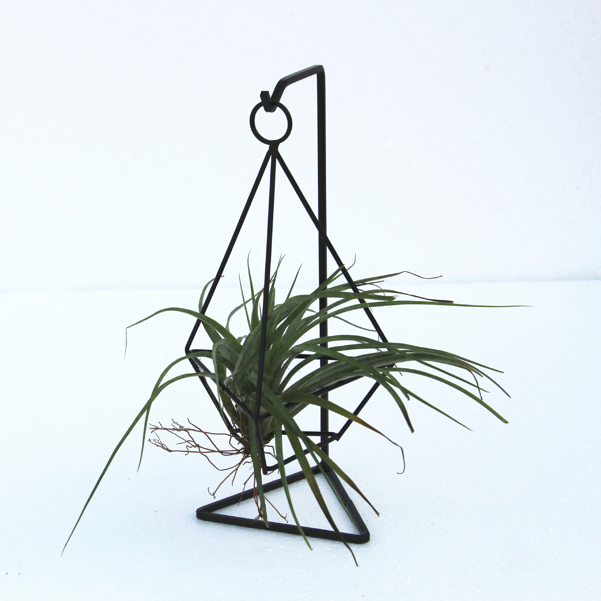 厂家批发 空气凤梨植物铁架花托 几何铁艺三棱四棱钻石空凤架子
