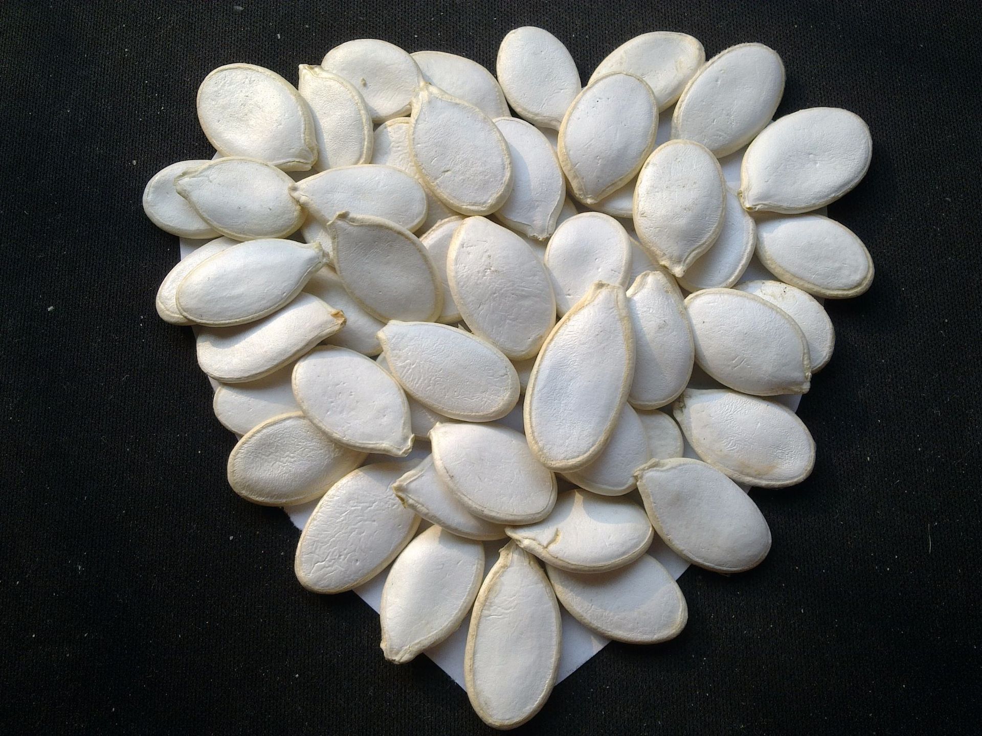 供应出口级雪白南瓜籽 专业出口葵花籽