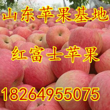陕西冰糖心红富士苹果基地四川重庆冰糖心苹果价格安徽苹果批发价