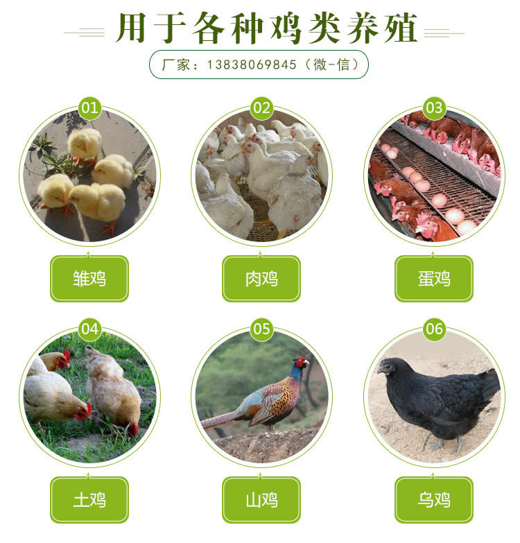 养鸡专用益生菌