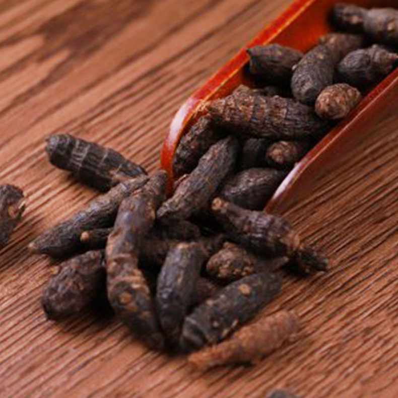 香附 中药材醋香附片 干净无杂香附子厂家批发加工香附子