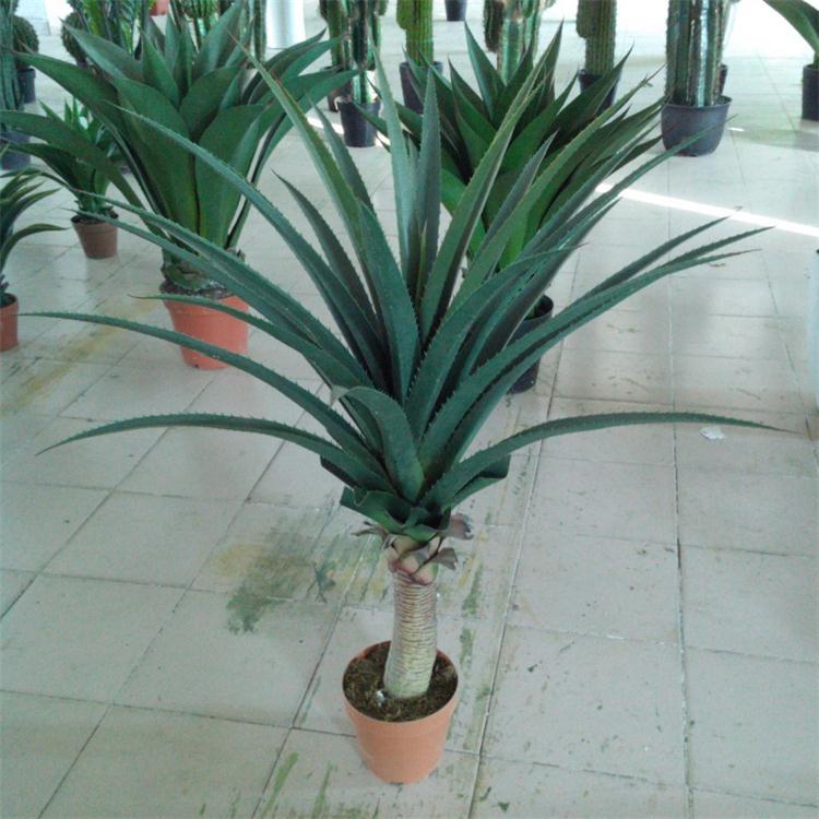 摆件一帆风顺图片