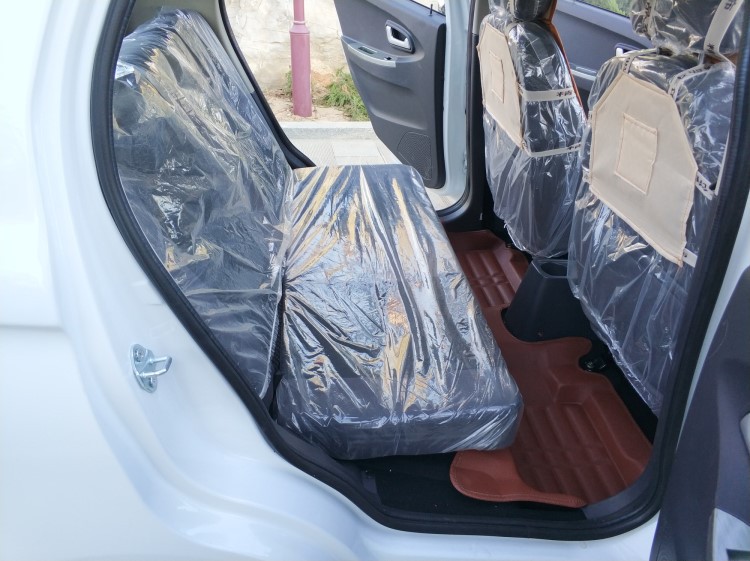 雷丁d70电动四轮车成人电动汽车轿车油电两用代步车新能源观光车