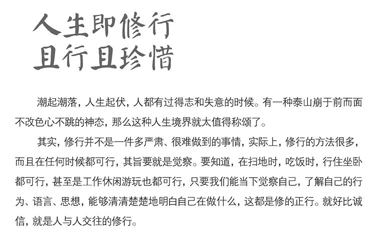 禅修养心/道修养性/人生即修行且行且珍惜心理励志感悟心灵鸡汤书