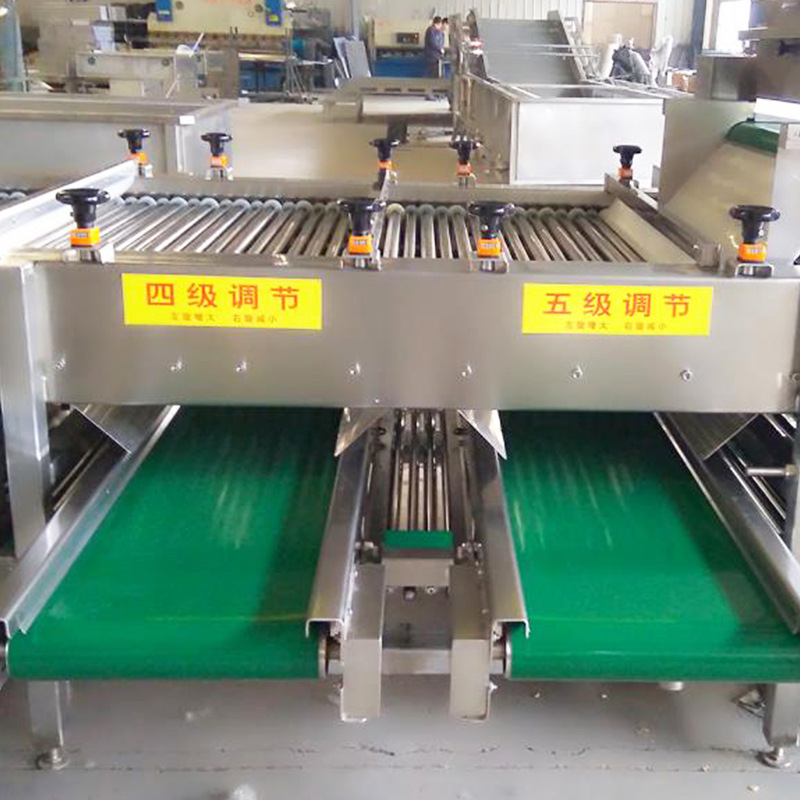 厂家直供滚杠捡果机  链条滚杠分拣水果   自动称重分选机定制