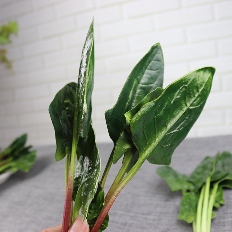 仿真蔬菜 假蔬菜模型叶菜假波菜 仿真波菜菜橱柜家居展示装饰道具