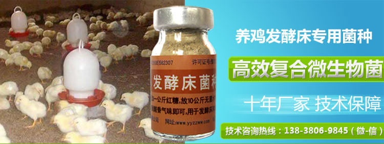 养鸡发酵床菌种十年产品
