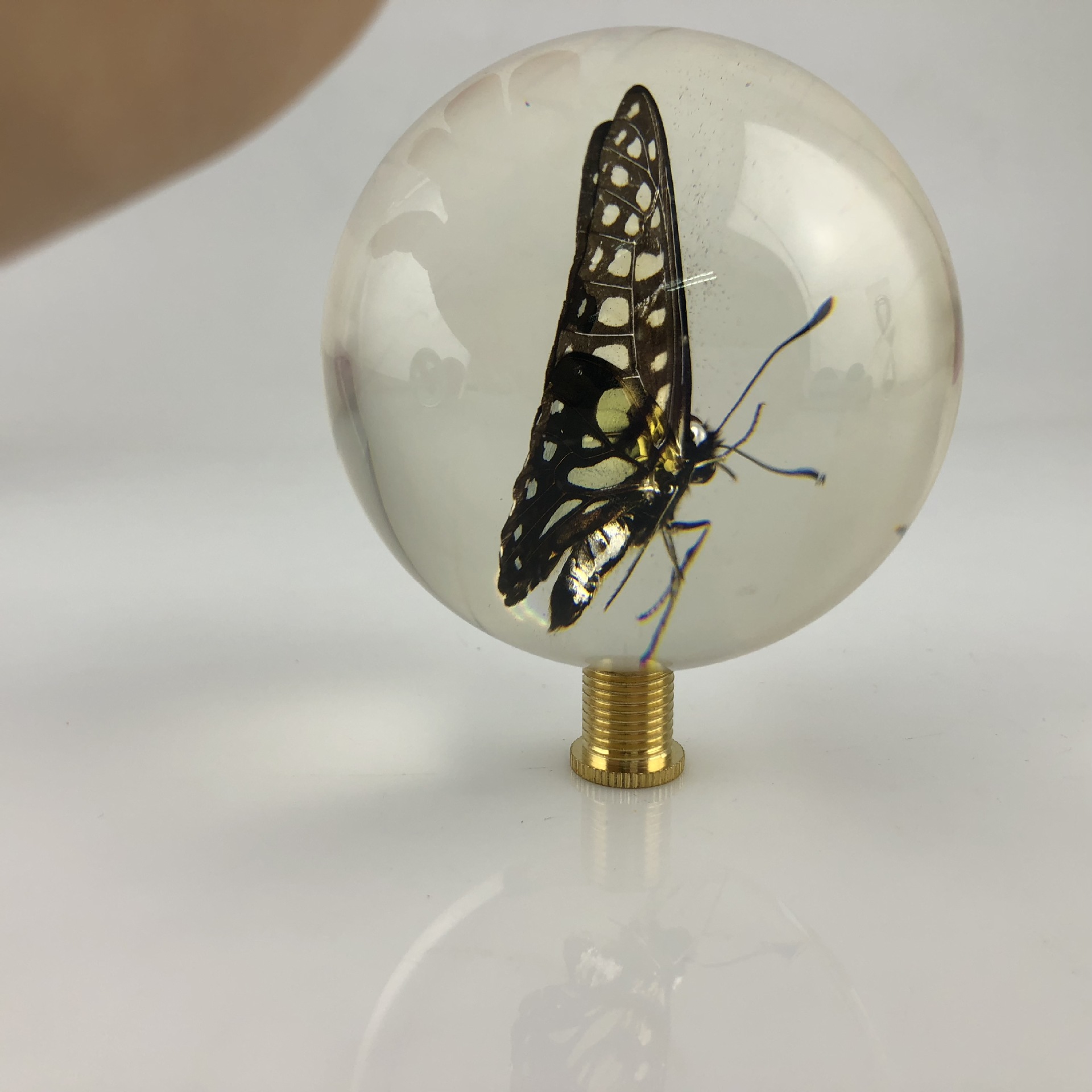 定做亚克力球里藏昆虫标本创意礼品透明树脂工艺品人工琥珀转运球