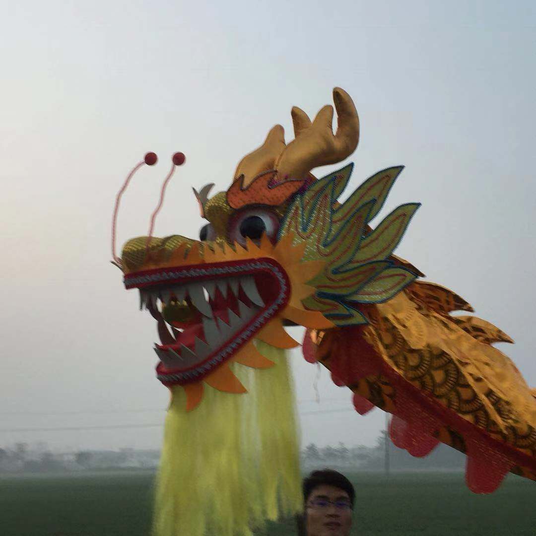 舞龙道具舞龙舞狮道具9九节龙龙灯舞龙布龙龙头竞龙18米