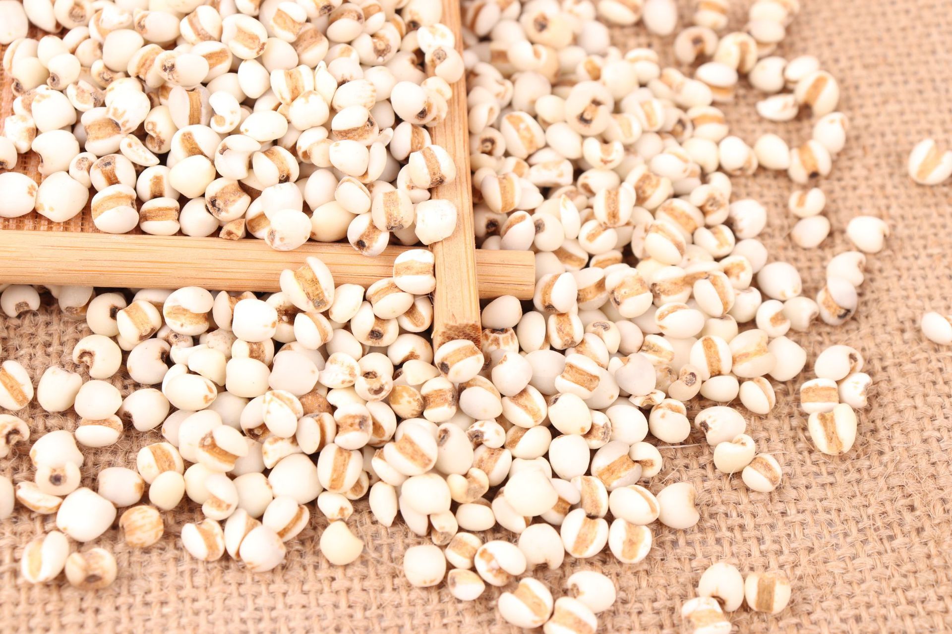 薏仁米批发散装500g薏米粒无杂质可磨薏米粉五谷杂粮苡仁米薏苡仁