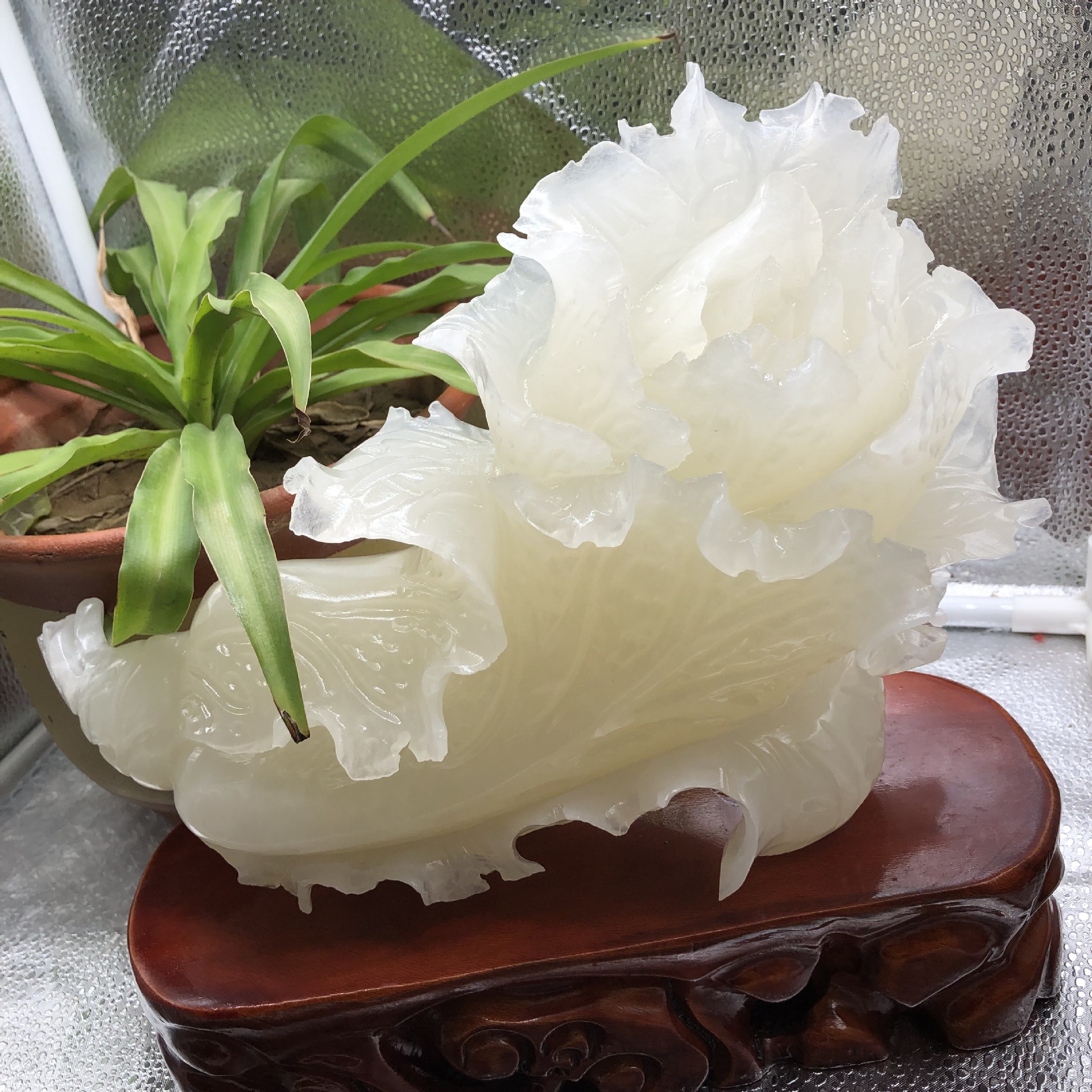 玉石阿富汗青白玉蚕丝玉白菜摆件家居摆设开业送礼