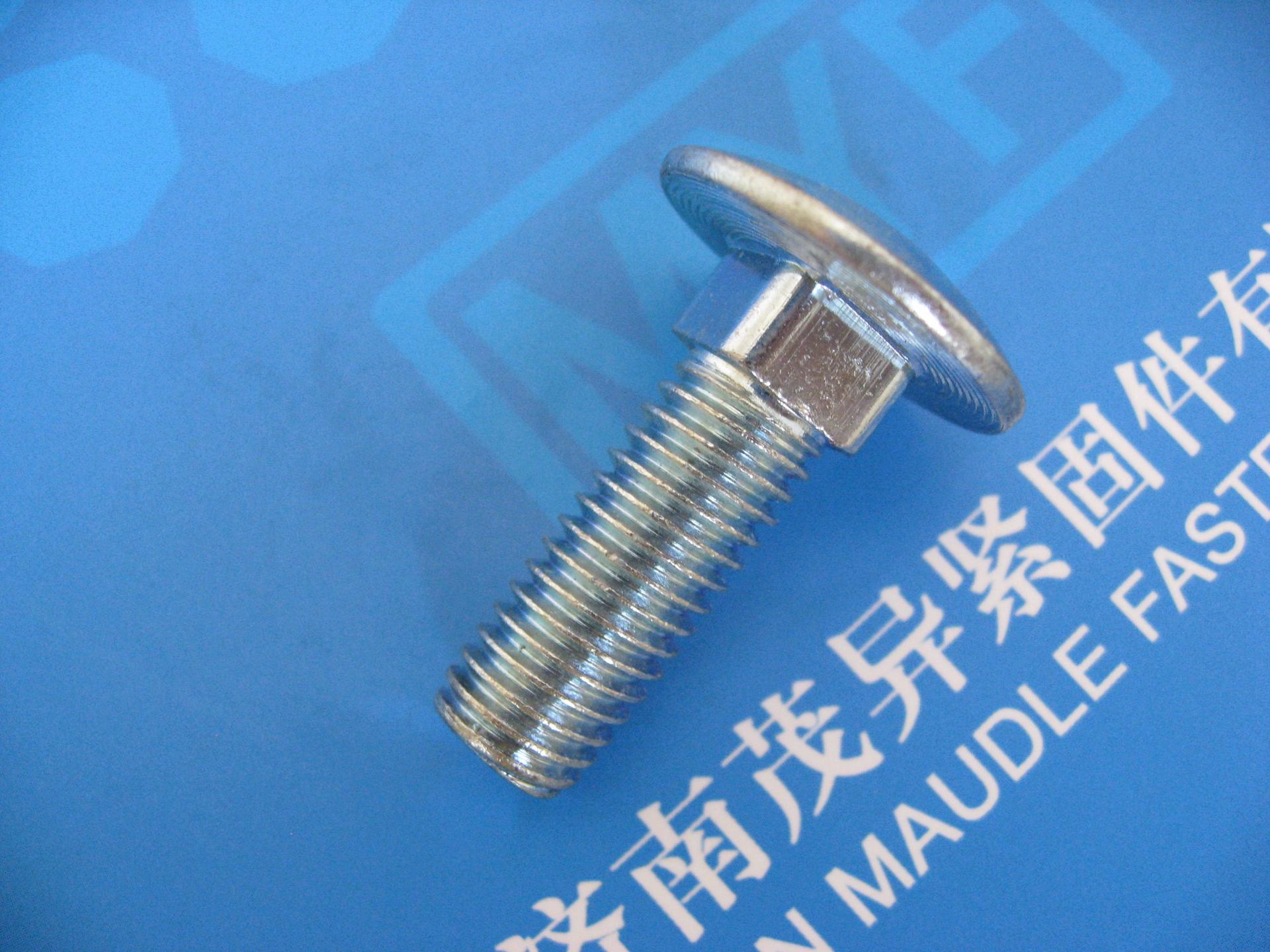 大半圆头方颈螺栓din603 (5)