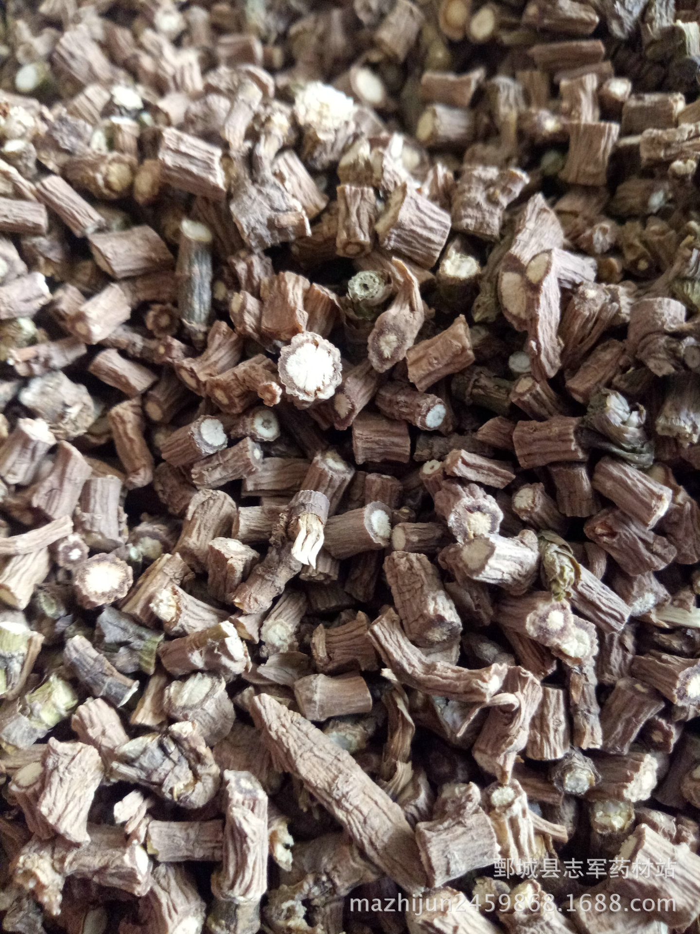 红柴胡 藏柴胡 选货 如图【实拍】