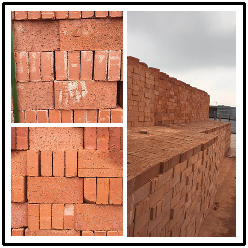 【厂家直销】优质水泥九五砖/八五砖/二孔砖/厂家直销/量大价优