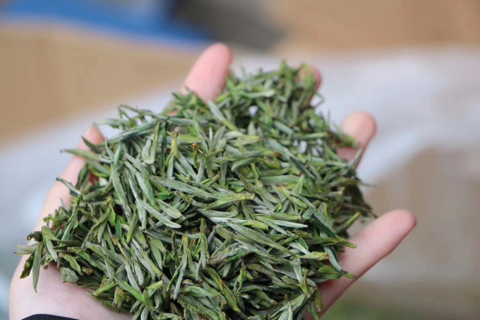 早春黄山毛峰 2018新茶 绿茶 茶叶散装批发 一件代发